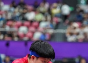 米兰捕鱼-沙特阿拉伯选手在马拉松比赛中勇夺冠军