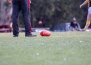 米兰体育官网-西悉尼流浪者进攻端火力全开，状态持续爆发