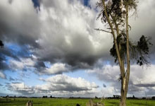 米兰体育官网-中超奇幻夜：篮坛死神杜兰特绿茵约战曼城大脑德布劳内