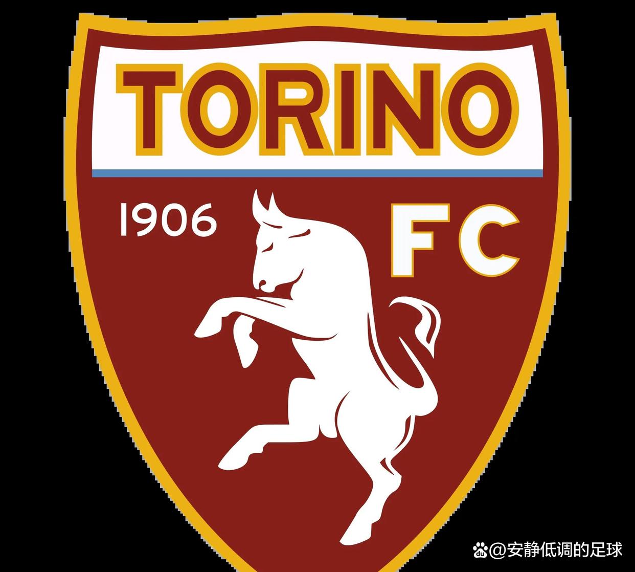 都灵新援表现出色,积极适应球队战术 都灵新援表现出色,积极适应球队战术